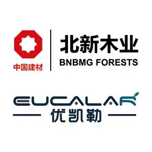 6E01_中福新材、北新木业、普莱玛、中星新材.jpg